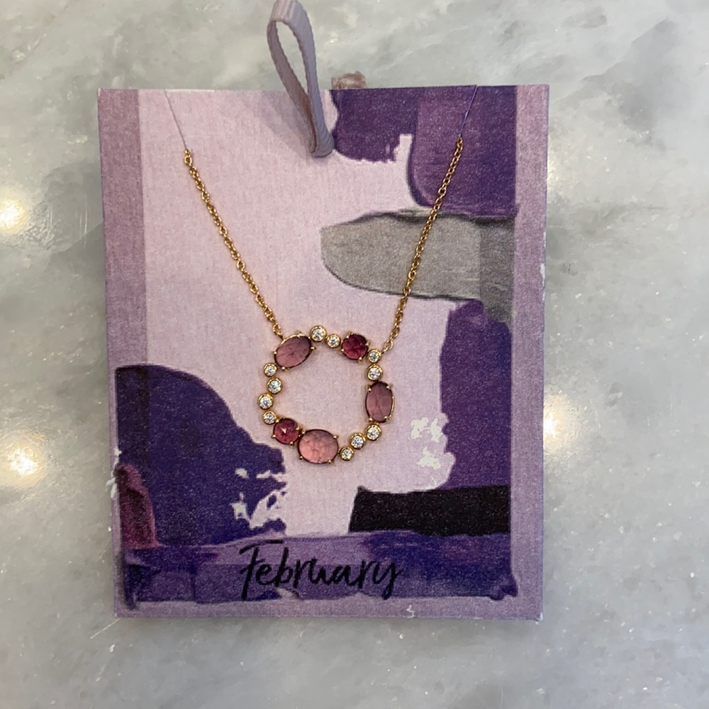 NWT Anthropologie February Birthstone Necklace
